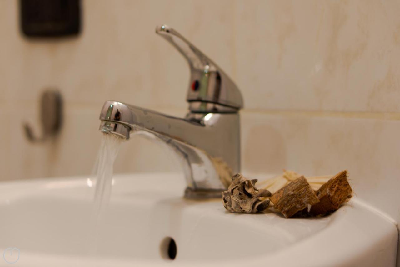 רומא Domenichino Guesthouse מראה חיצוני תמונה